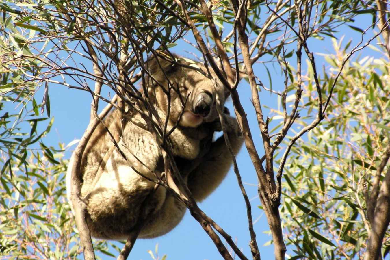 Explore New South Wales