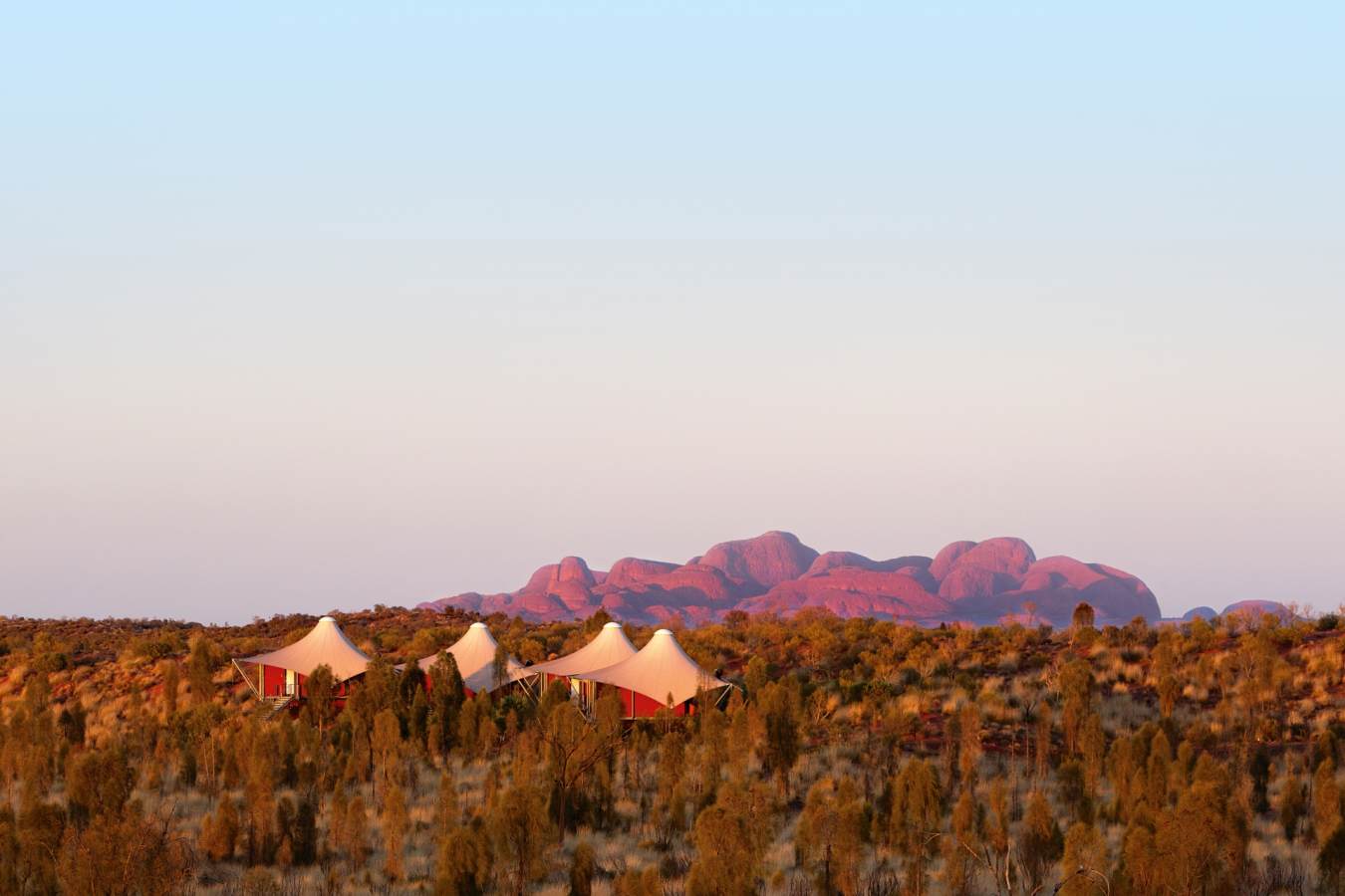 Wild Views - Longitude 131