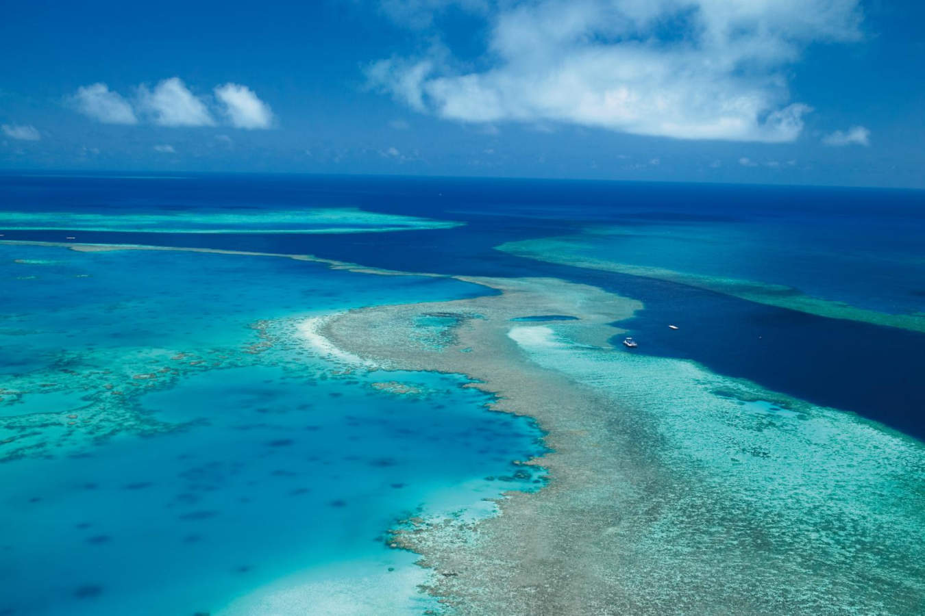Great Barrier Reef - qualia