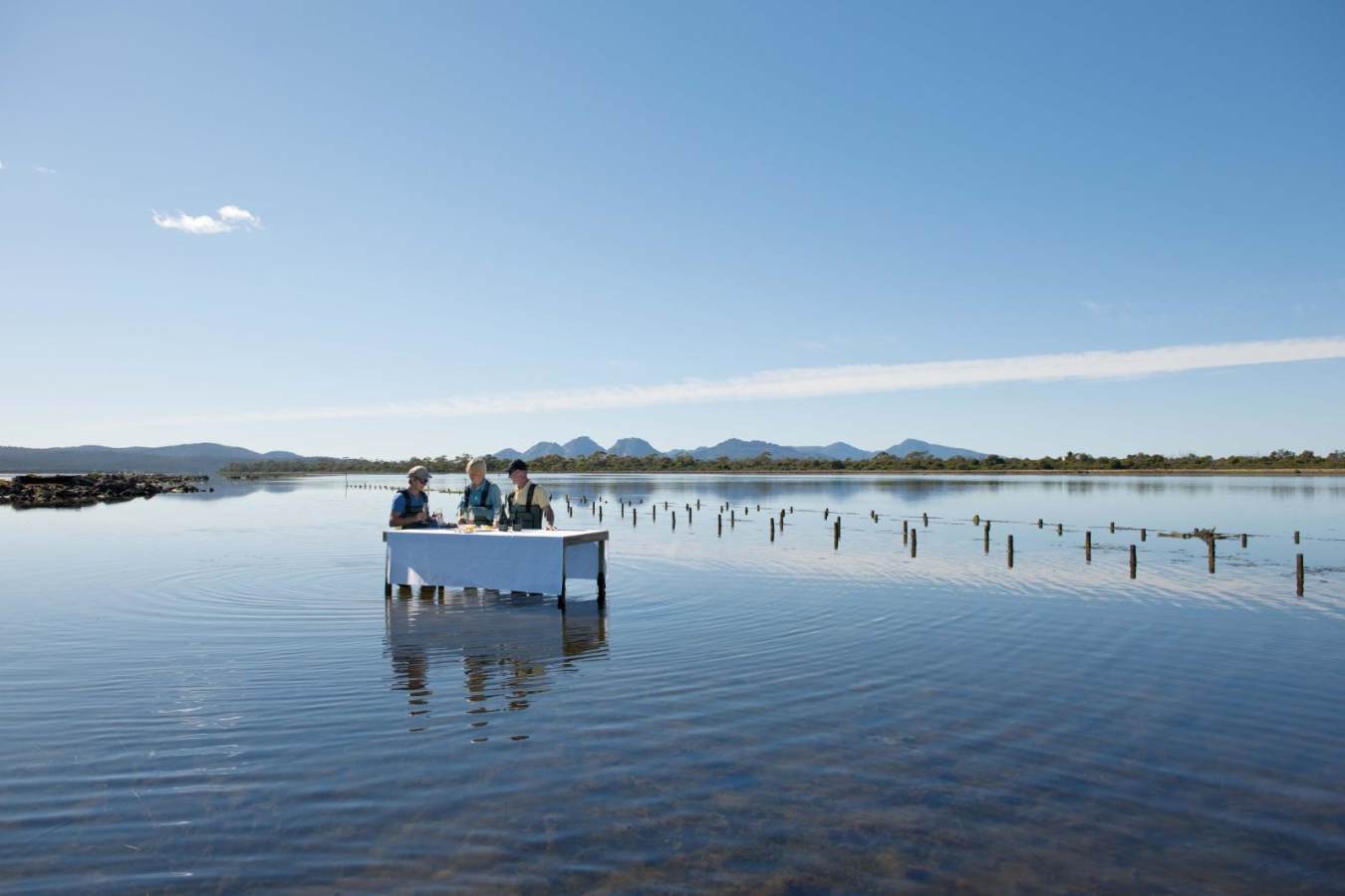 Marine Oyster Farm - Saffire