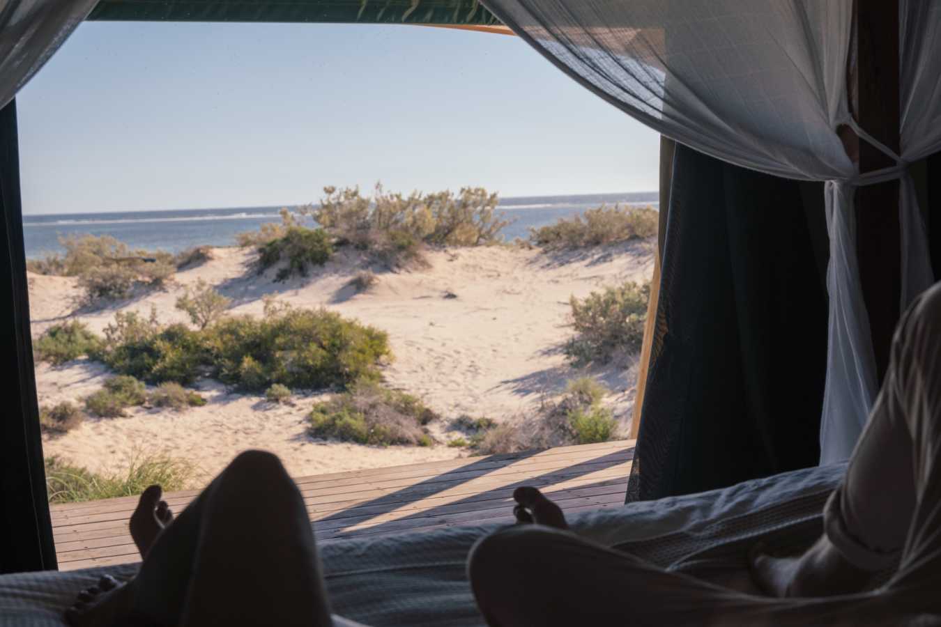 View From Tent - Sal Salis