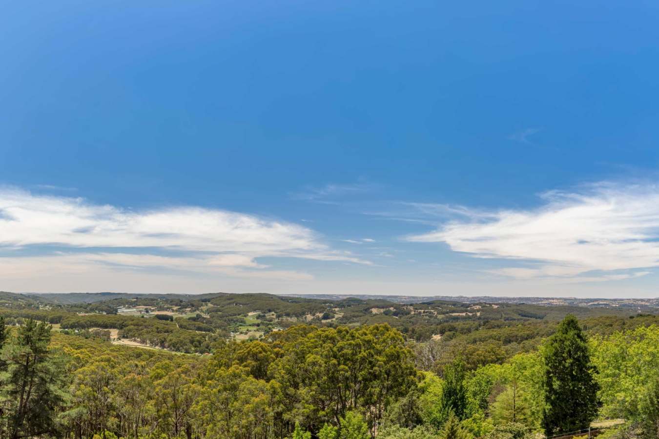 Panoramic Views - Sequoia Lodge 