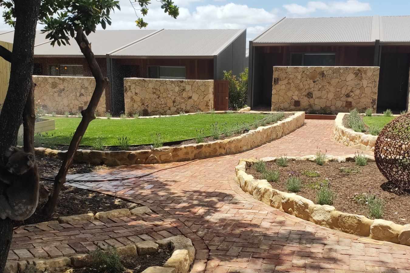 Koala - Sequoia Lodge 