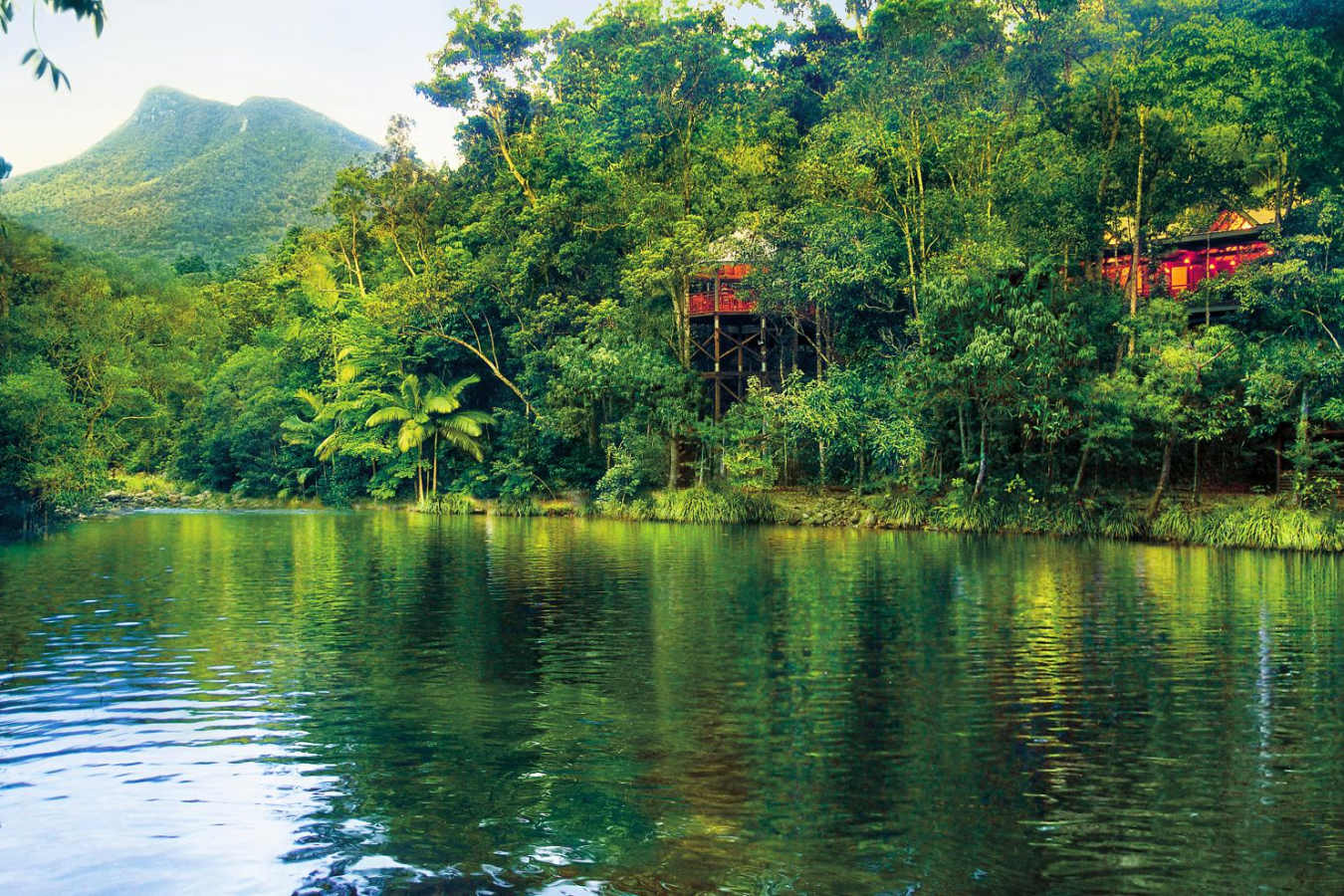 River View - Silky Oaks Lodge