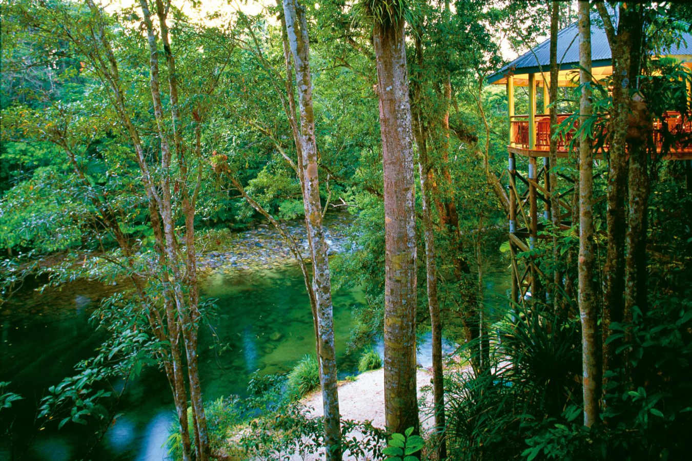 View - Silky Oaks Lodge