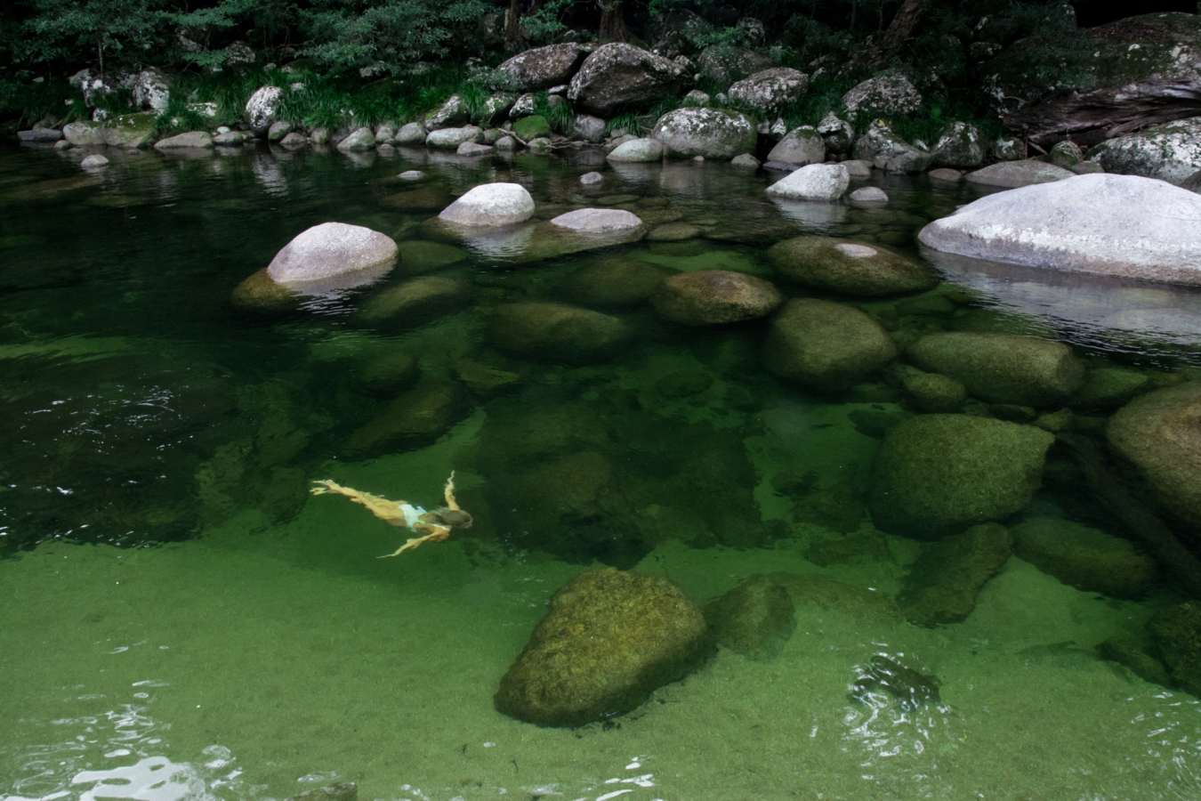 Swimming in the billabong
