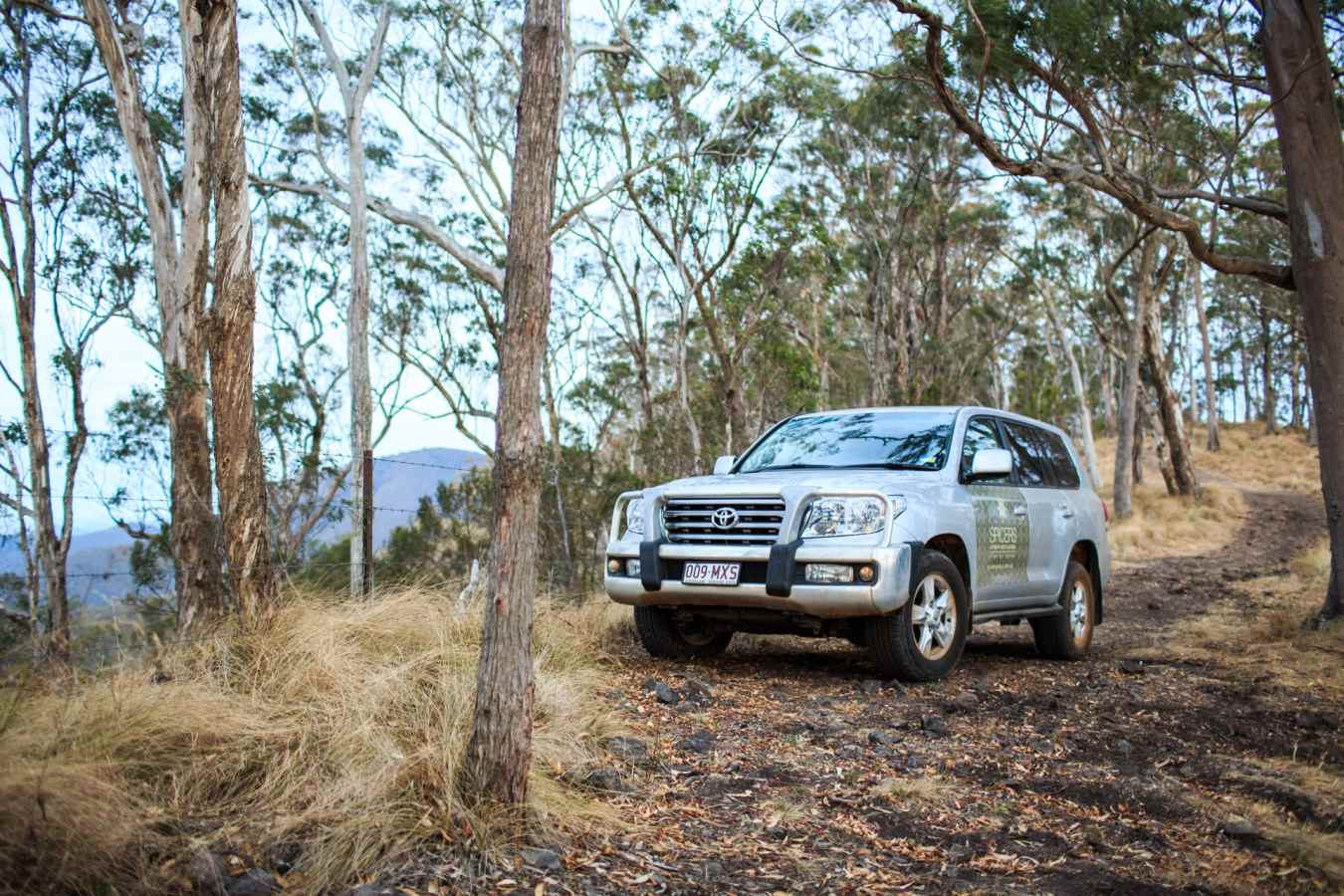 4WD - Spicers Peak Lodge 