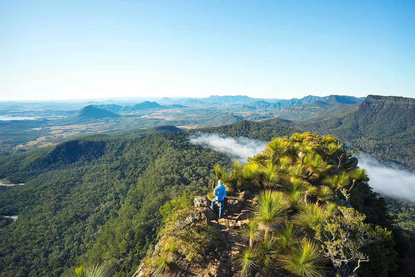 Aerial Trek - Spicers Peak Lodge 