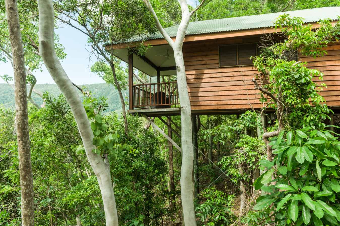 Eucalypt bungalow - Thala Beach Lodge