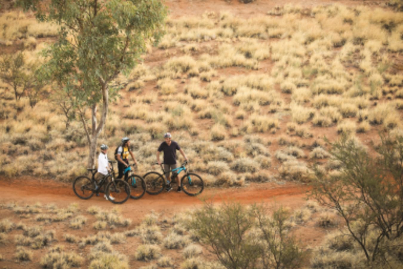 Alice Springs Bikes