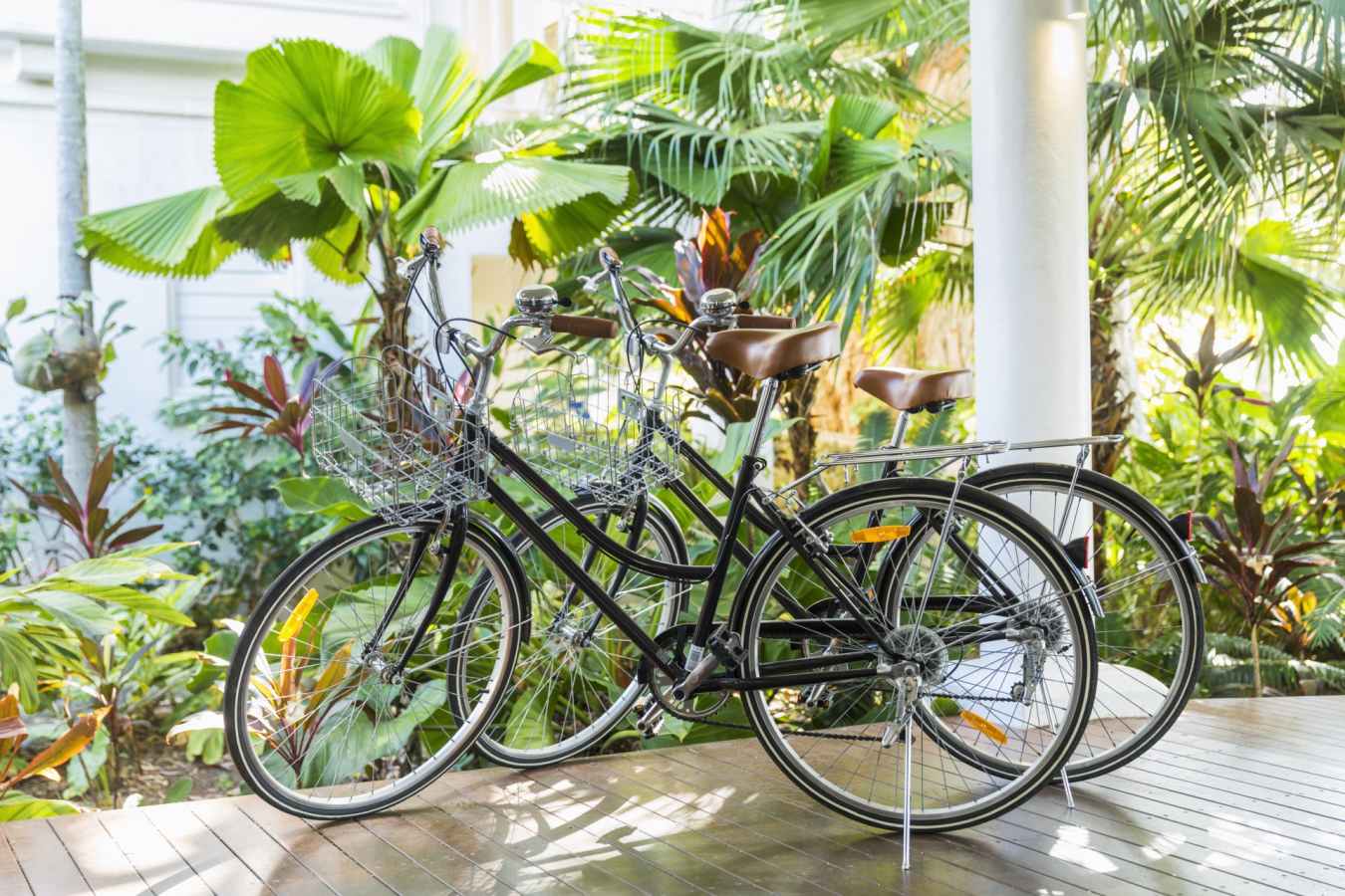 Bicycles - The Reef House