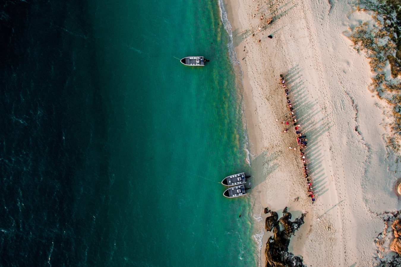 Wild Coastline
