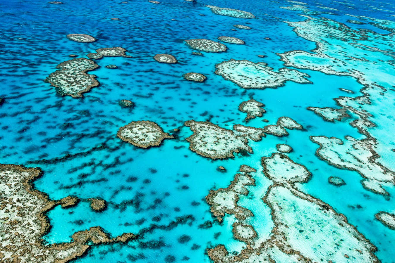 Great Barrier Reef -