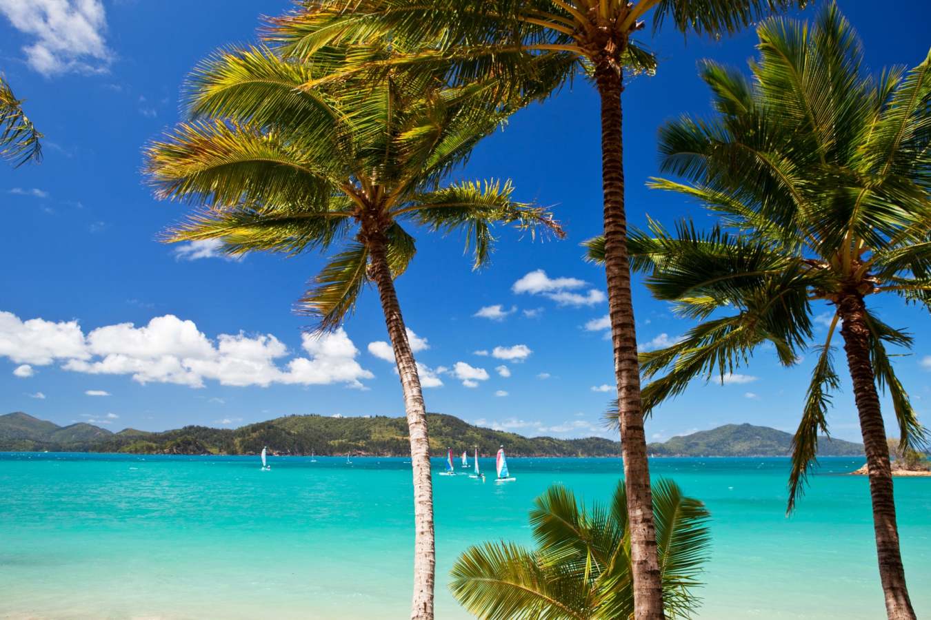 Hamilton Island  -