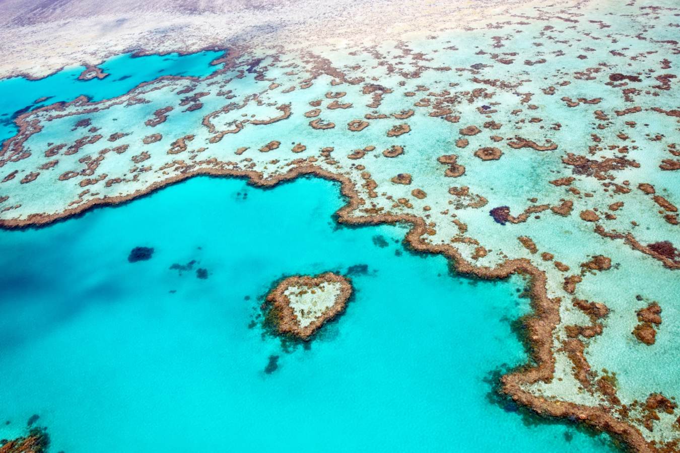 Heart Reef - The Whitsundays