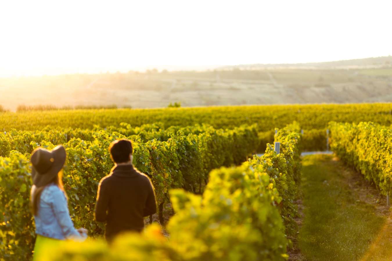 Couple in vineyard