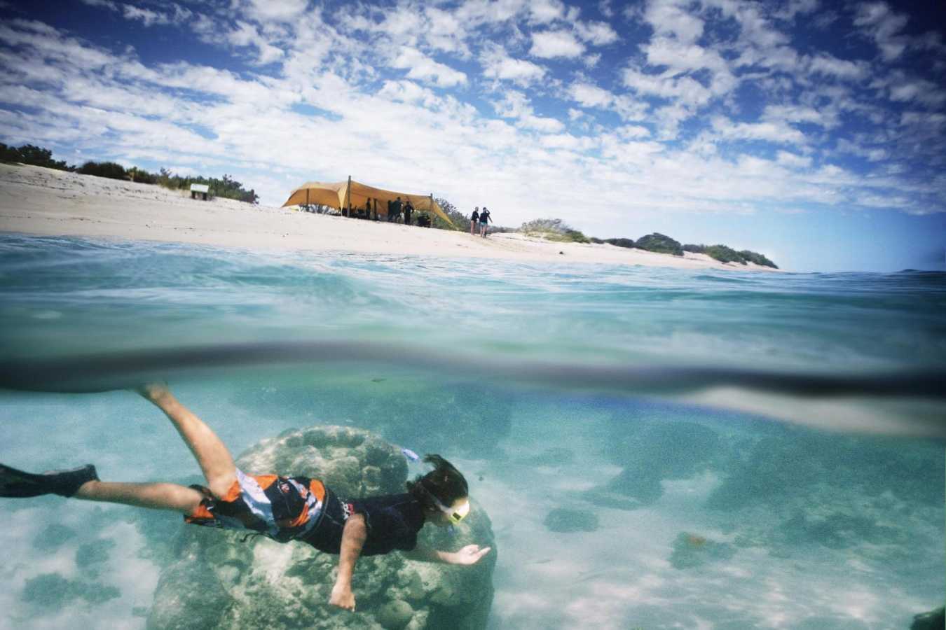 Snorkle at Sal Salis - 