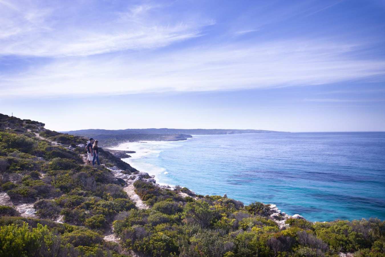 Clifftop Walk  -