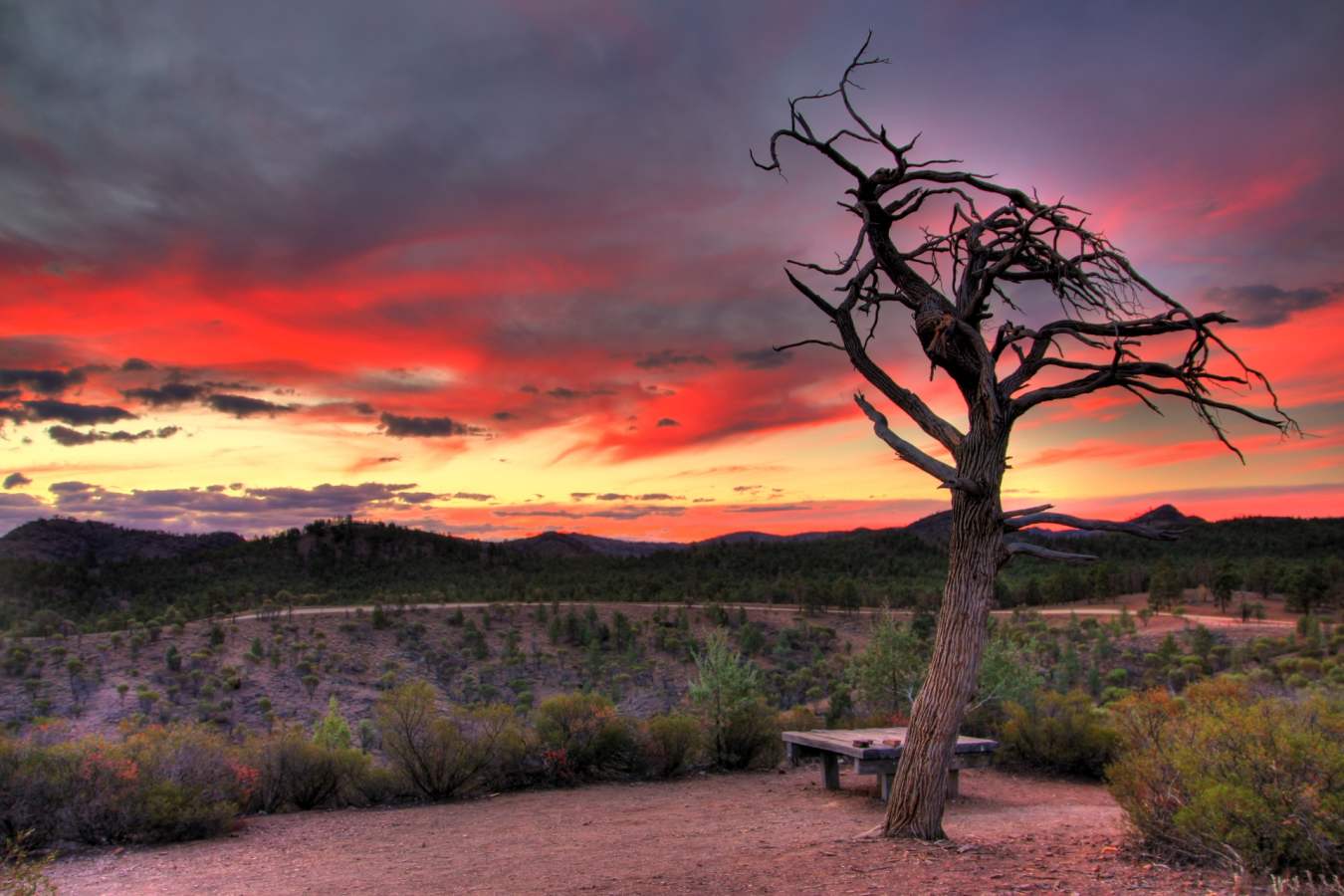 Sunset in the Flinders Ranges