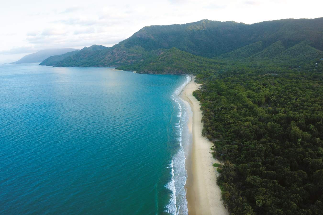 Where the rainforest meets the reef -