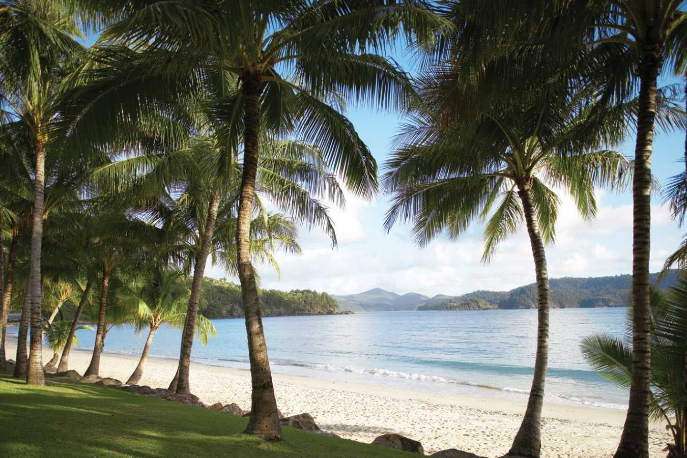 Hamilton Island Beach  -