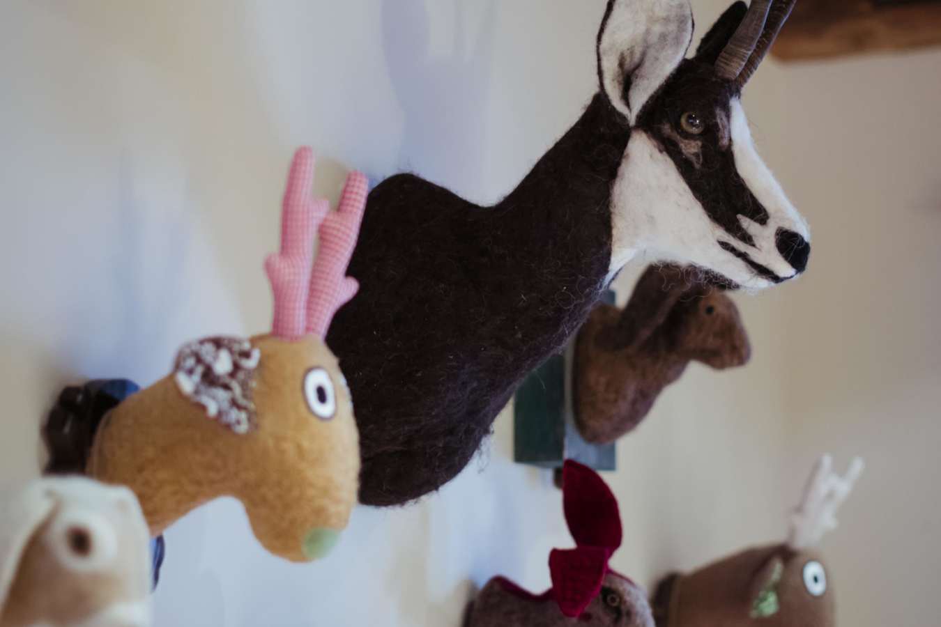 Interior - House Hannes Schneider