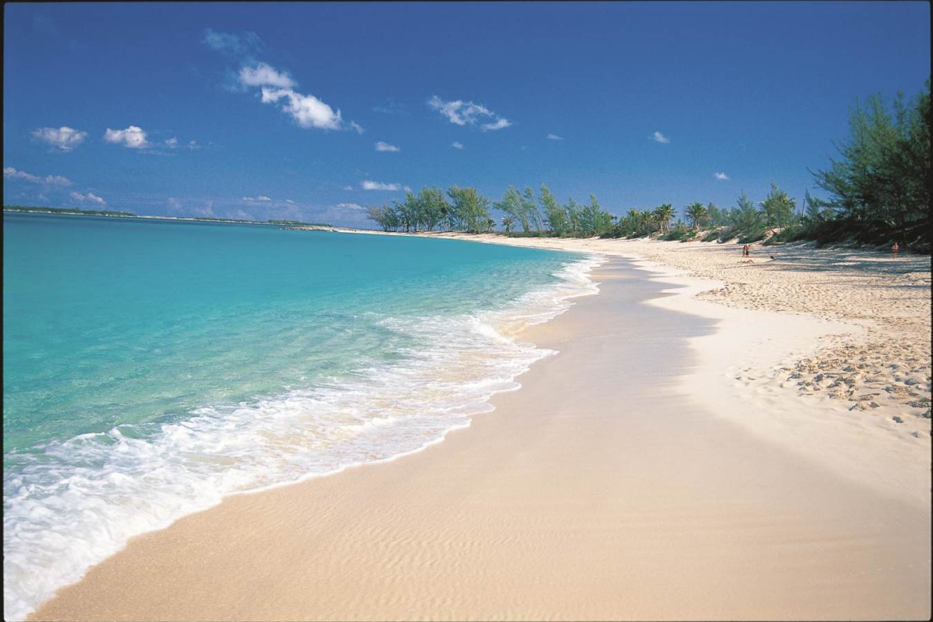 Beach - The Ocean Club