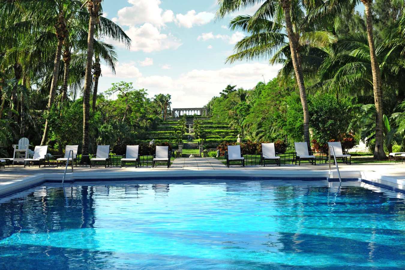 Pool - The Ocean Club