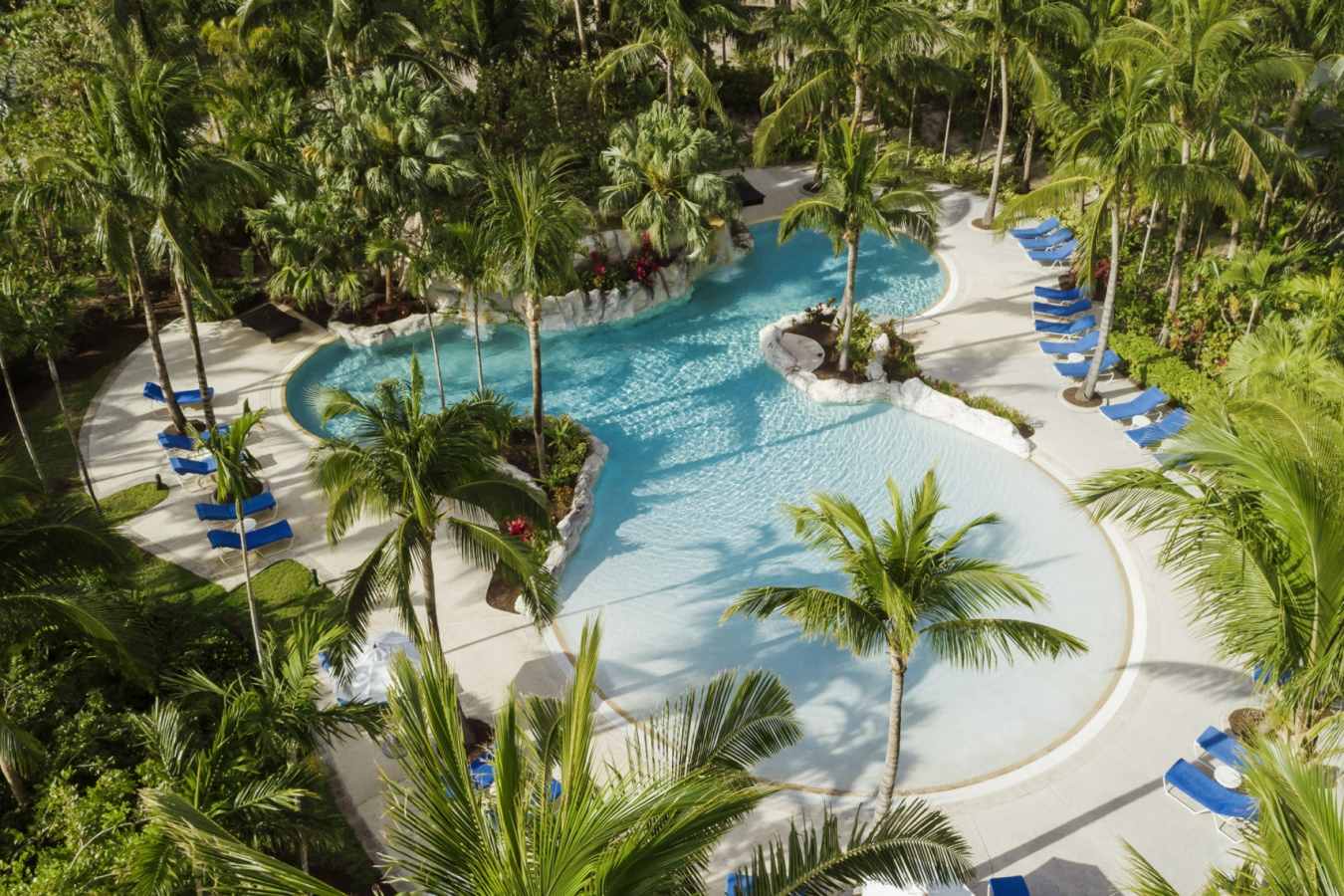 Pool - The Ocean Club