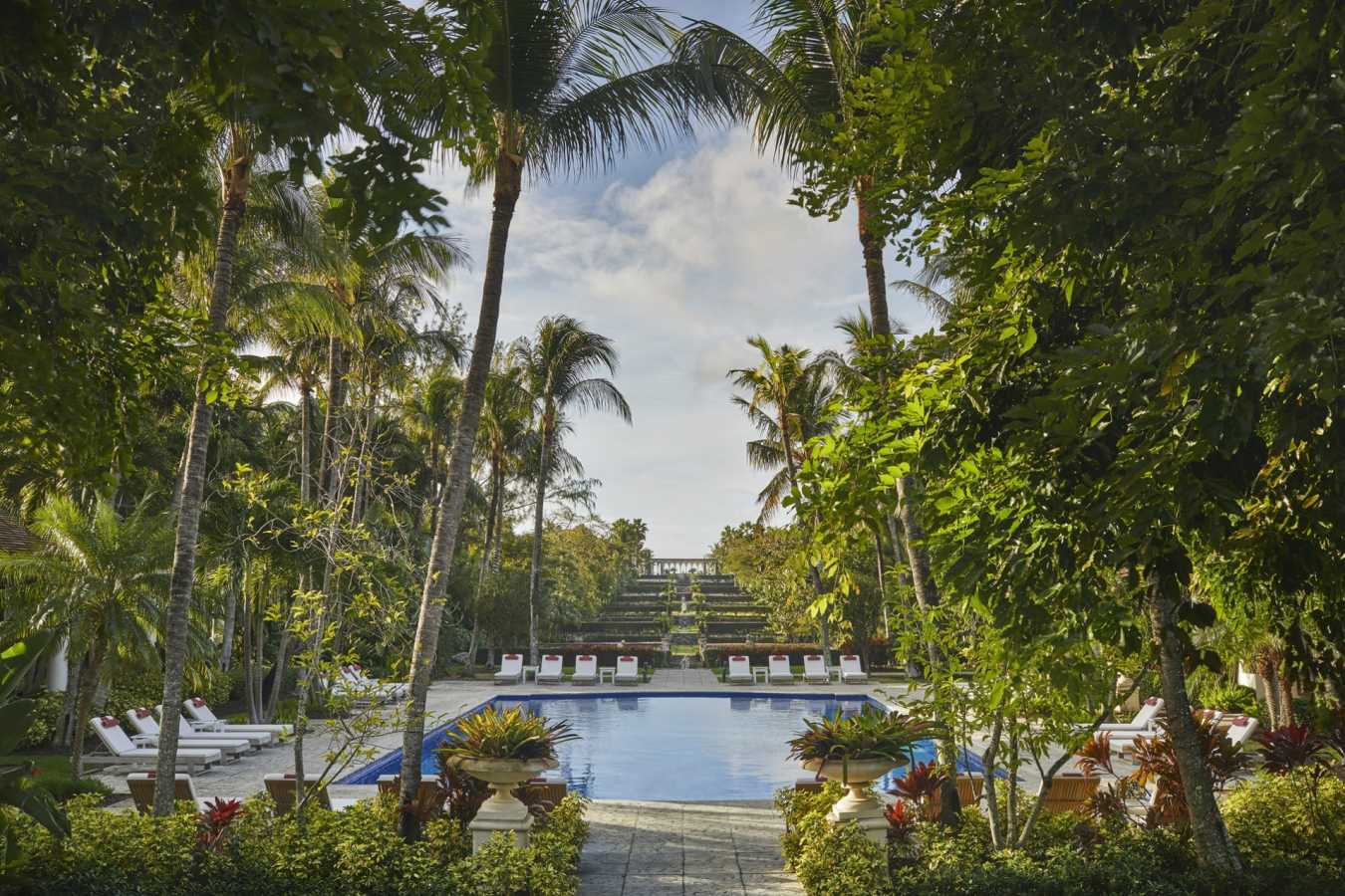 Pool - The Ocean Club