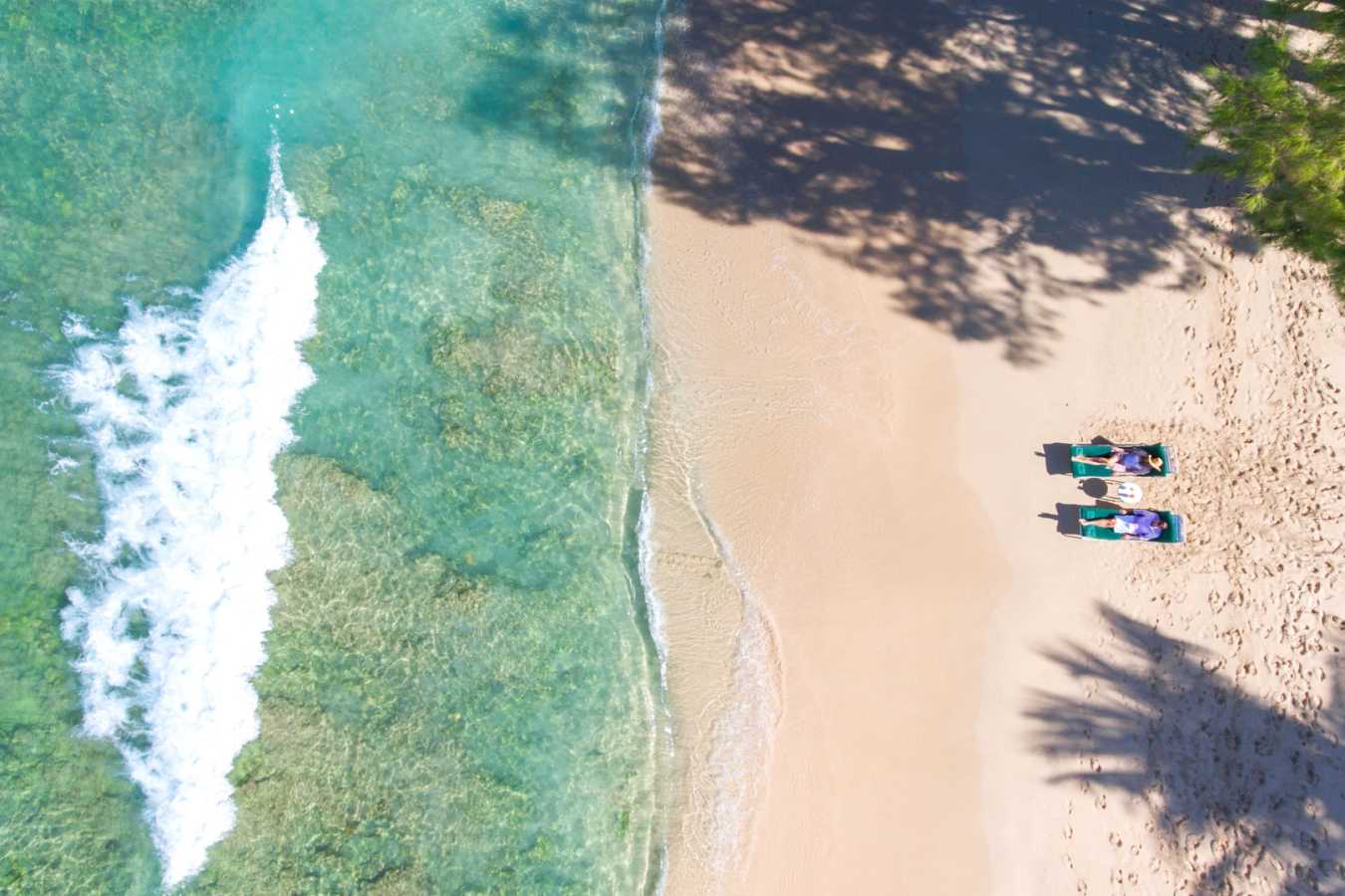 Coral Reef Club beach  
