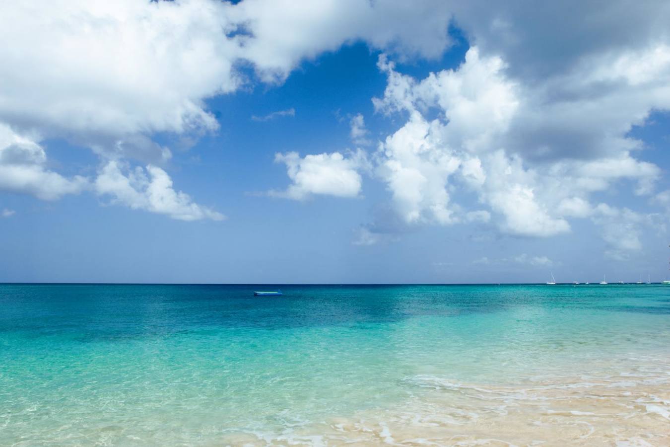 Ocean View - The Sandpiper