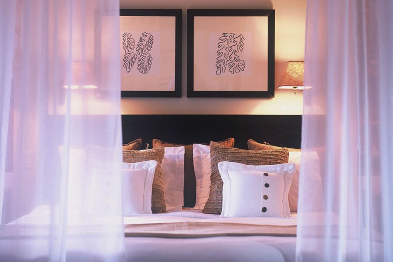 Treetop Suite - The Sandpiper