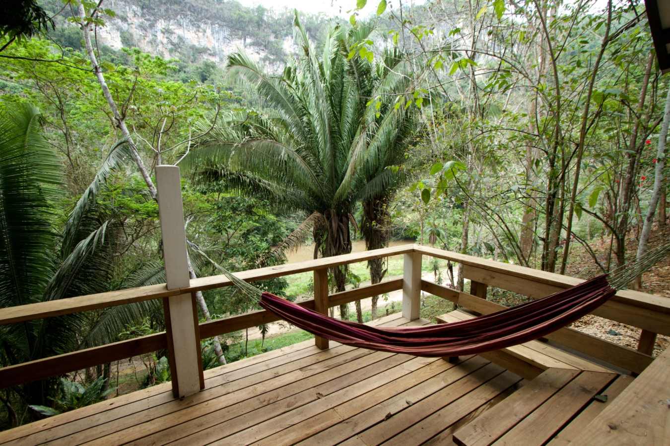 Black Rock Lodge hammock