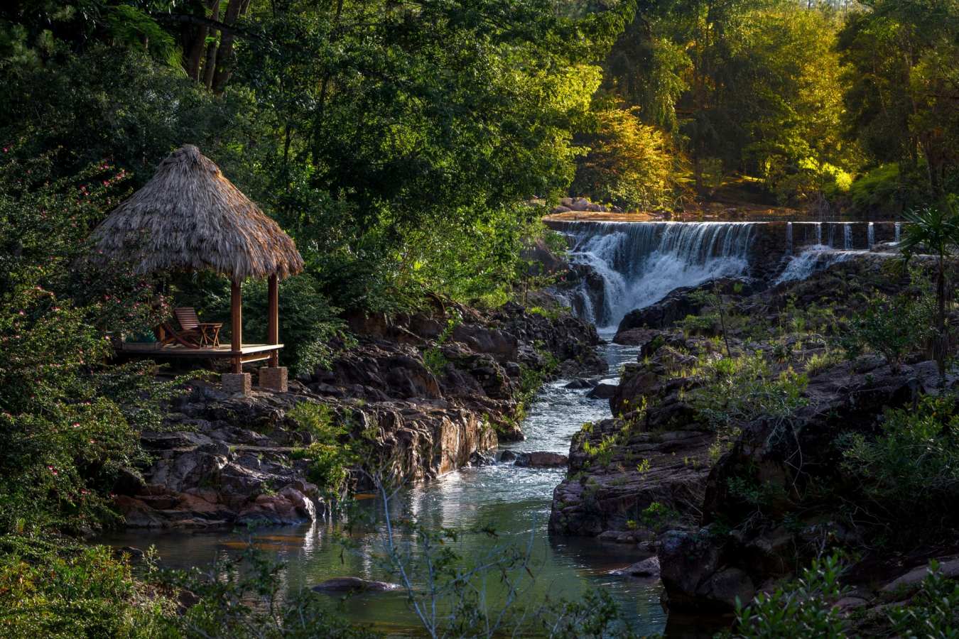 Gardens - Blancaneaux Lodge