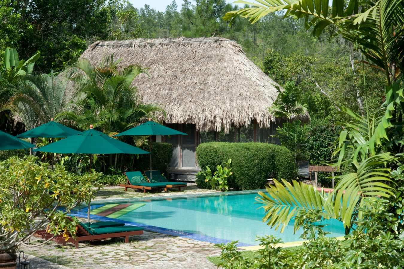 Pool - Blancaneaux Lodge