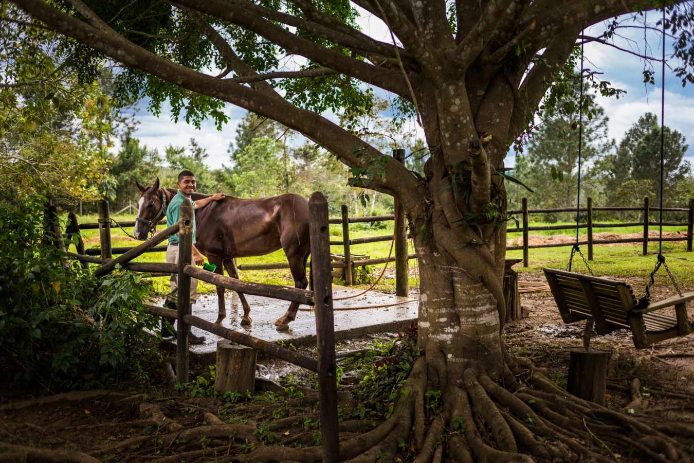 Stables - Blancaneaux Lodge