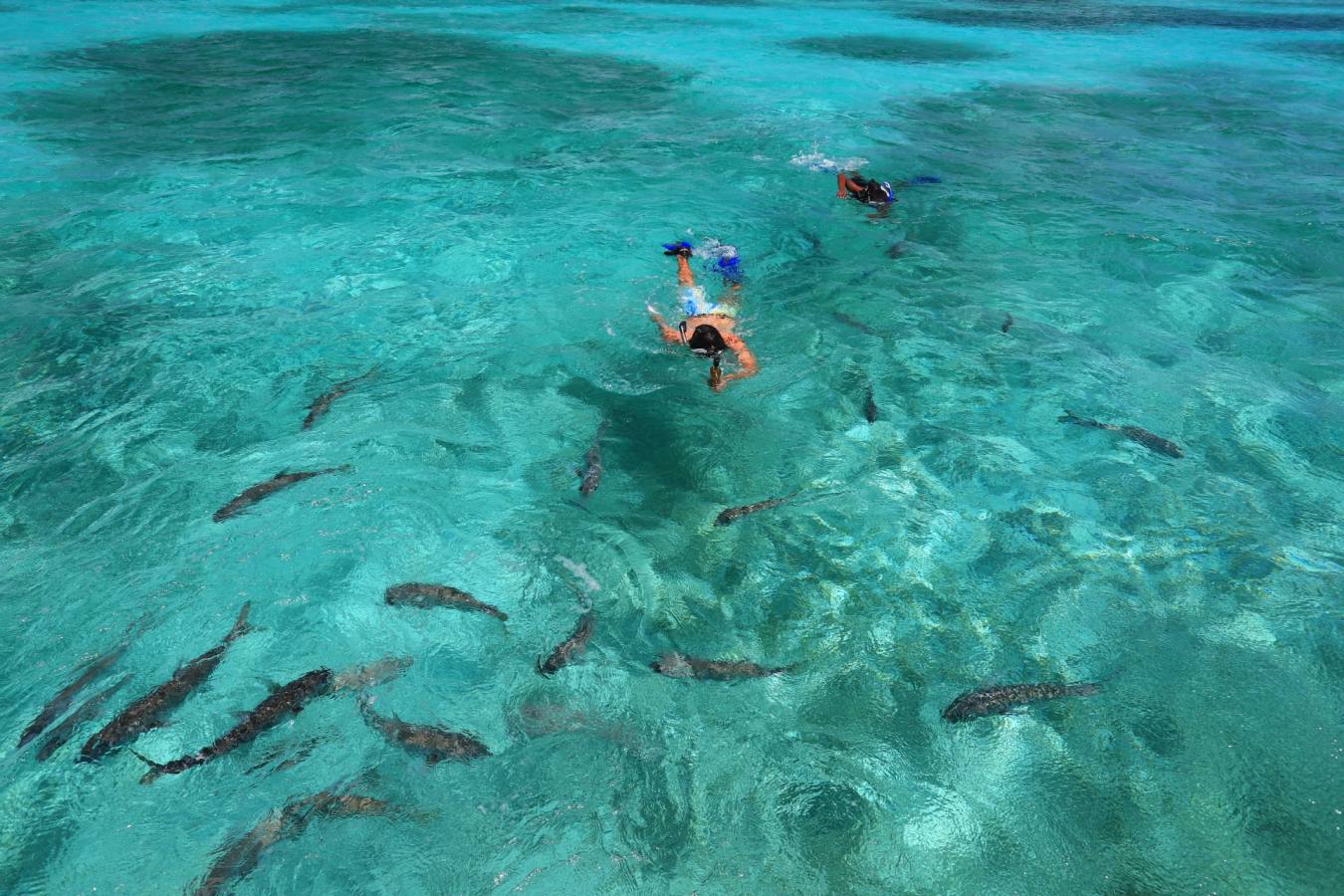 Snorkelling - Cayo Espanto
