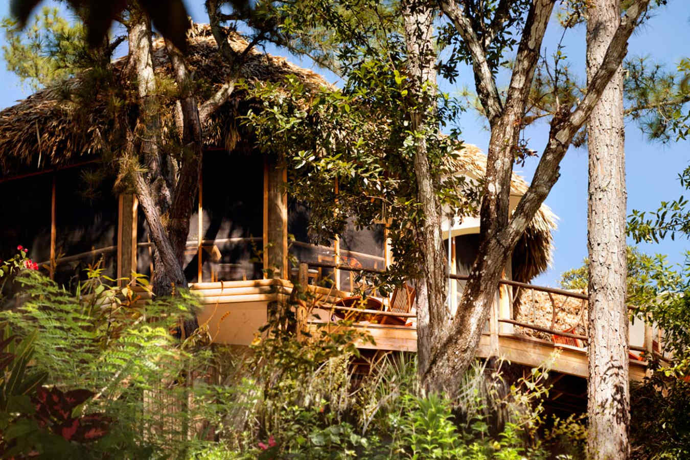 Waterfall Suite - Gaia River Lodge