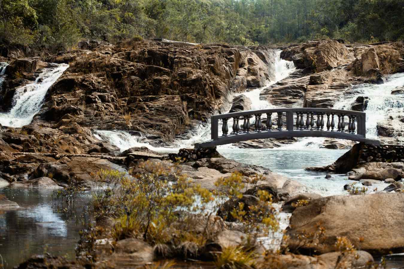 Gardens - Gaia River Lodge