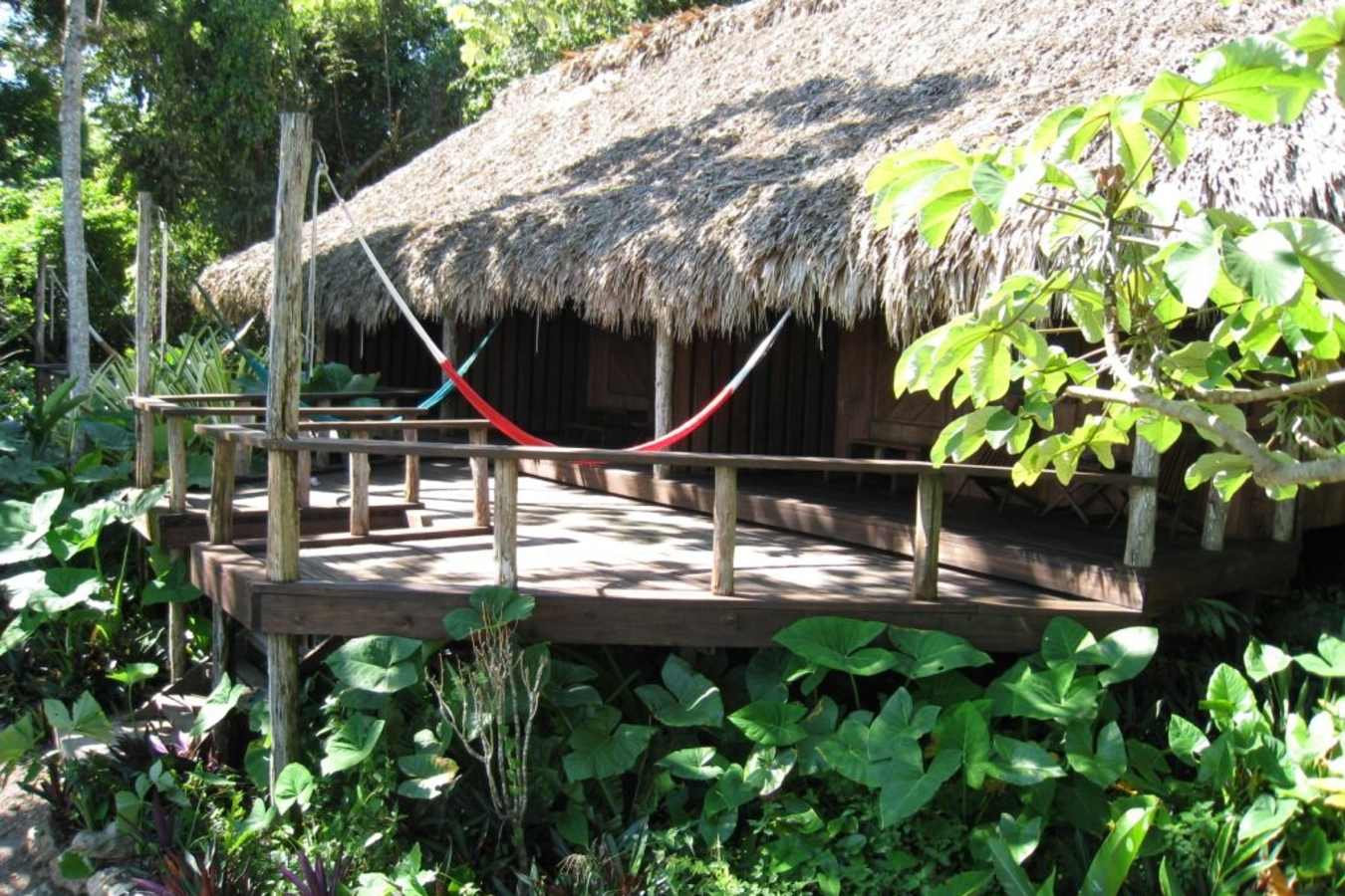 Lagoon front - Lamanai Outpost Lodge