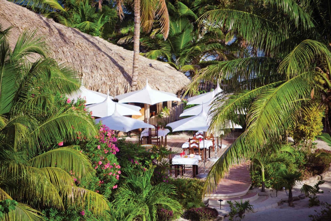Restaurant - Mata Chica