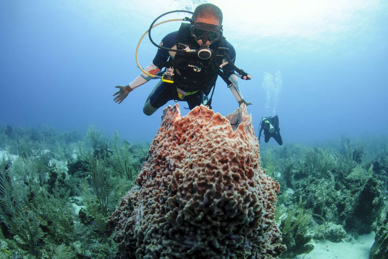 Belize Scuba Diving - Ramon's Village Resort