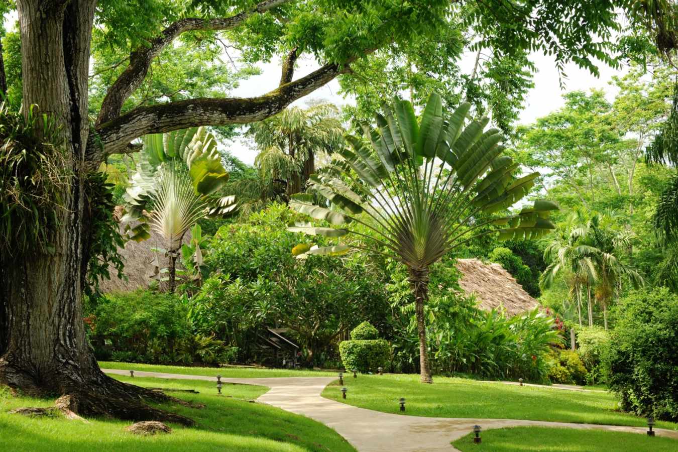 Grounds - The Lodge at Chaa Creek