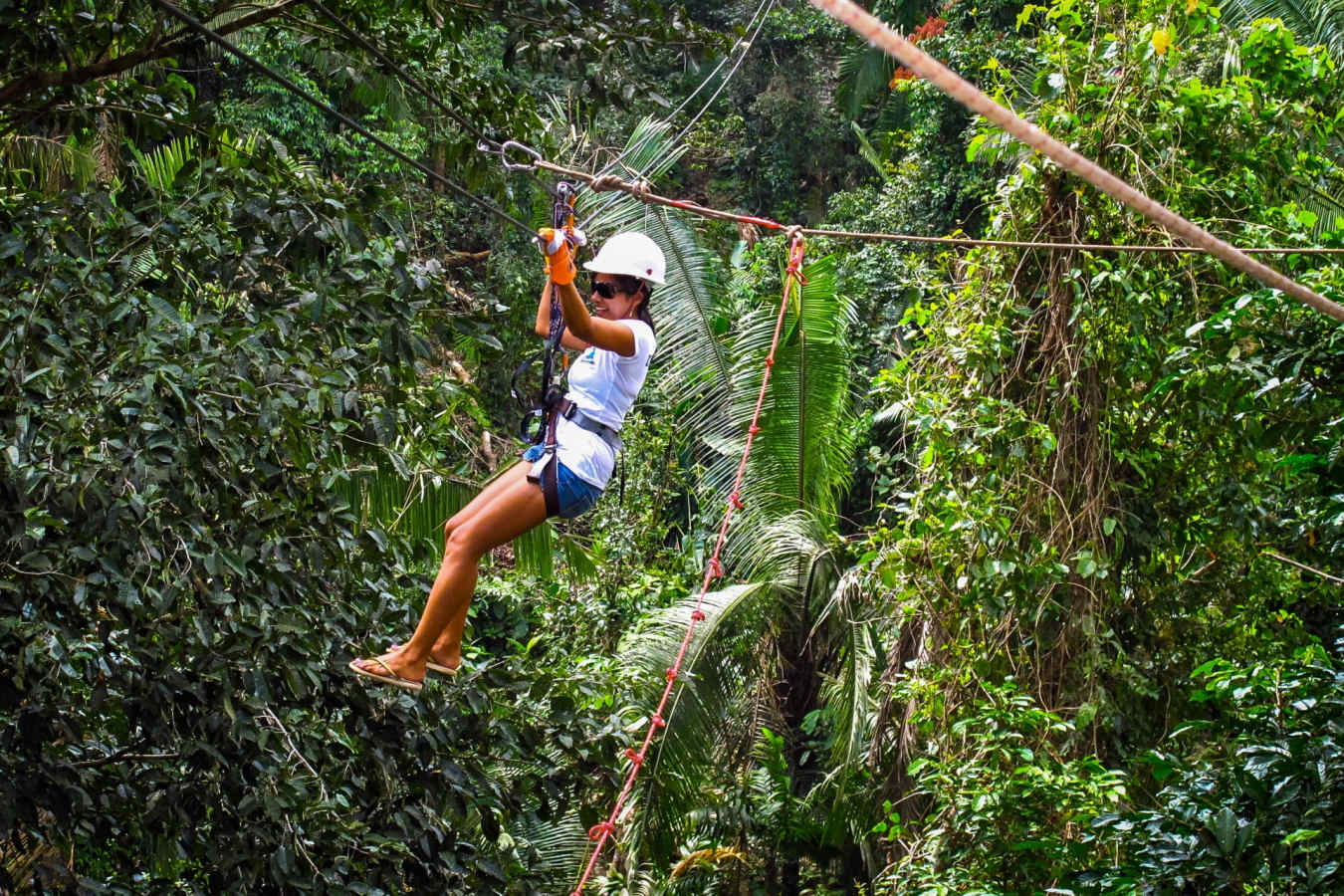 Rainforest adventure