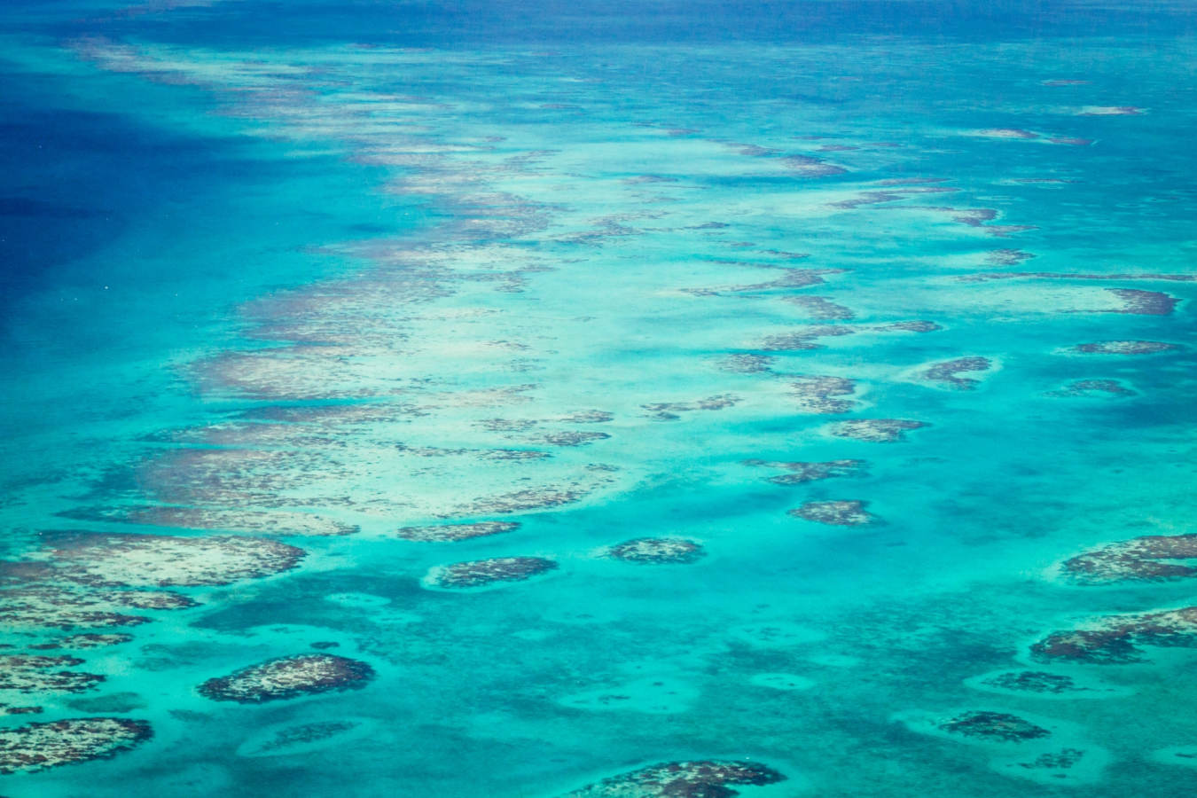 Barrier Reef