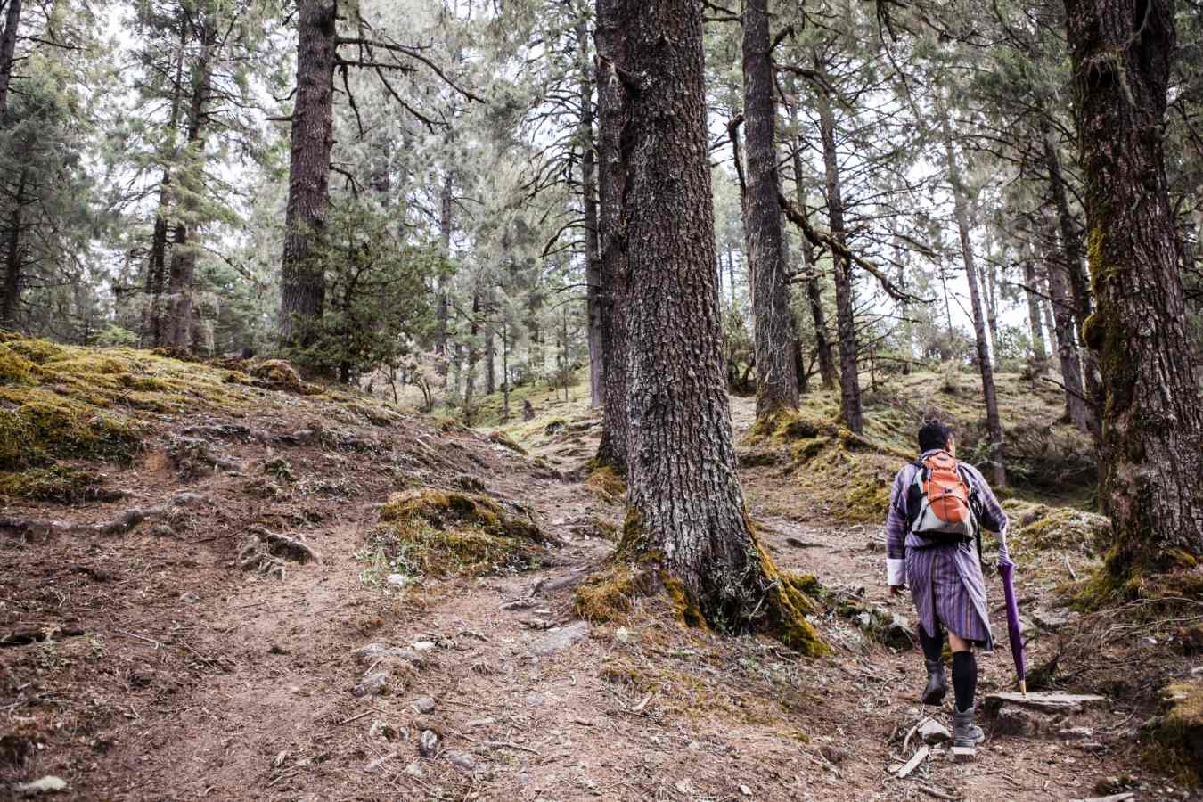 Hiking - Six Senses Paro