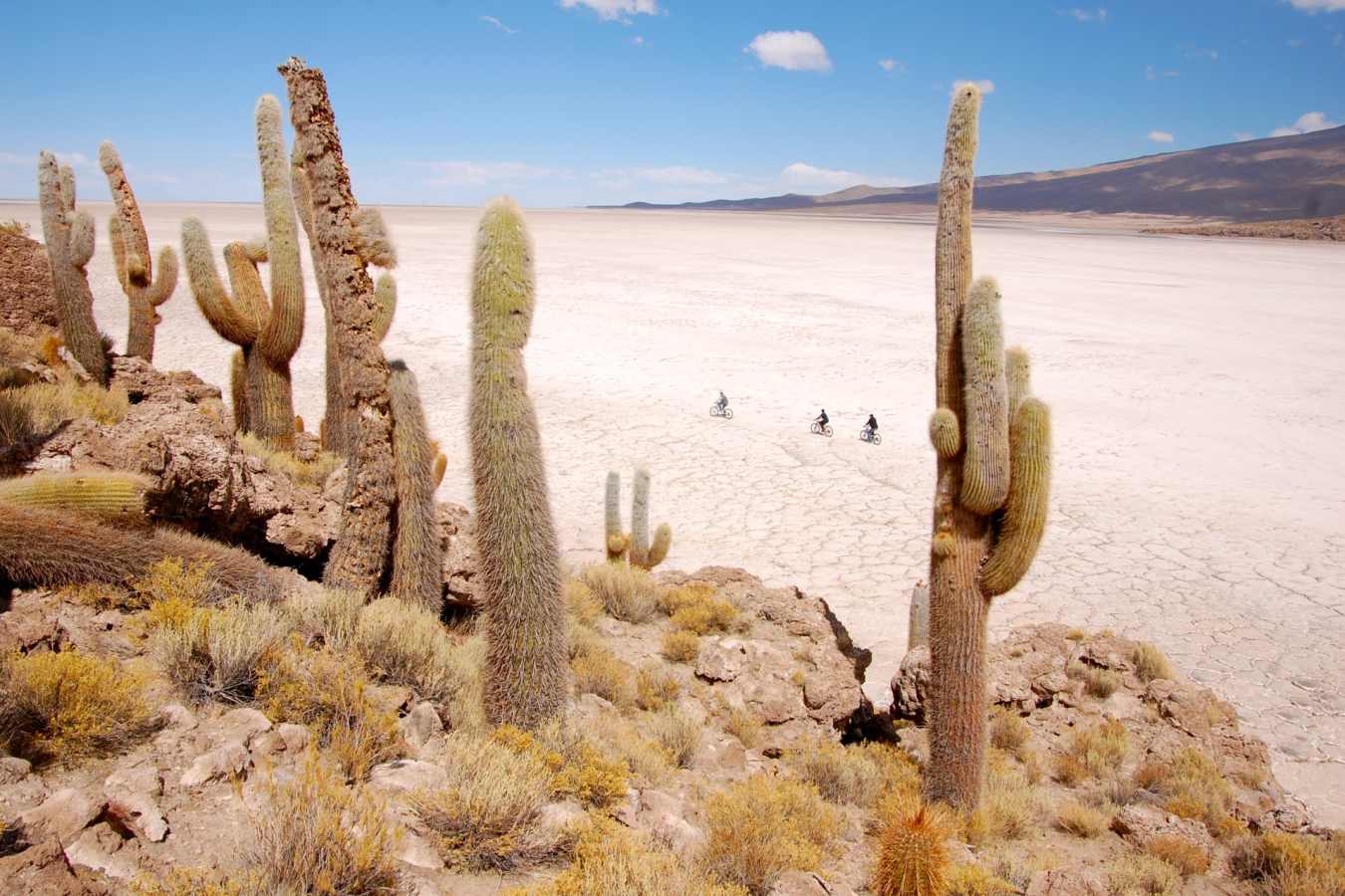 Cacti Islands - Airstream Uyuni