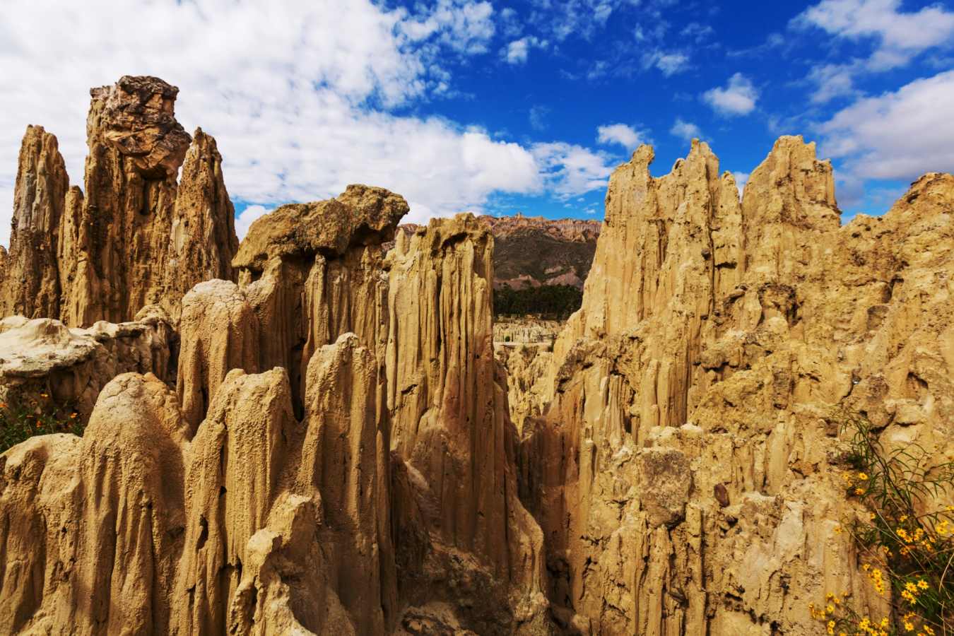 Valley of the Moon - Bolivia in Depth