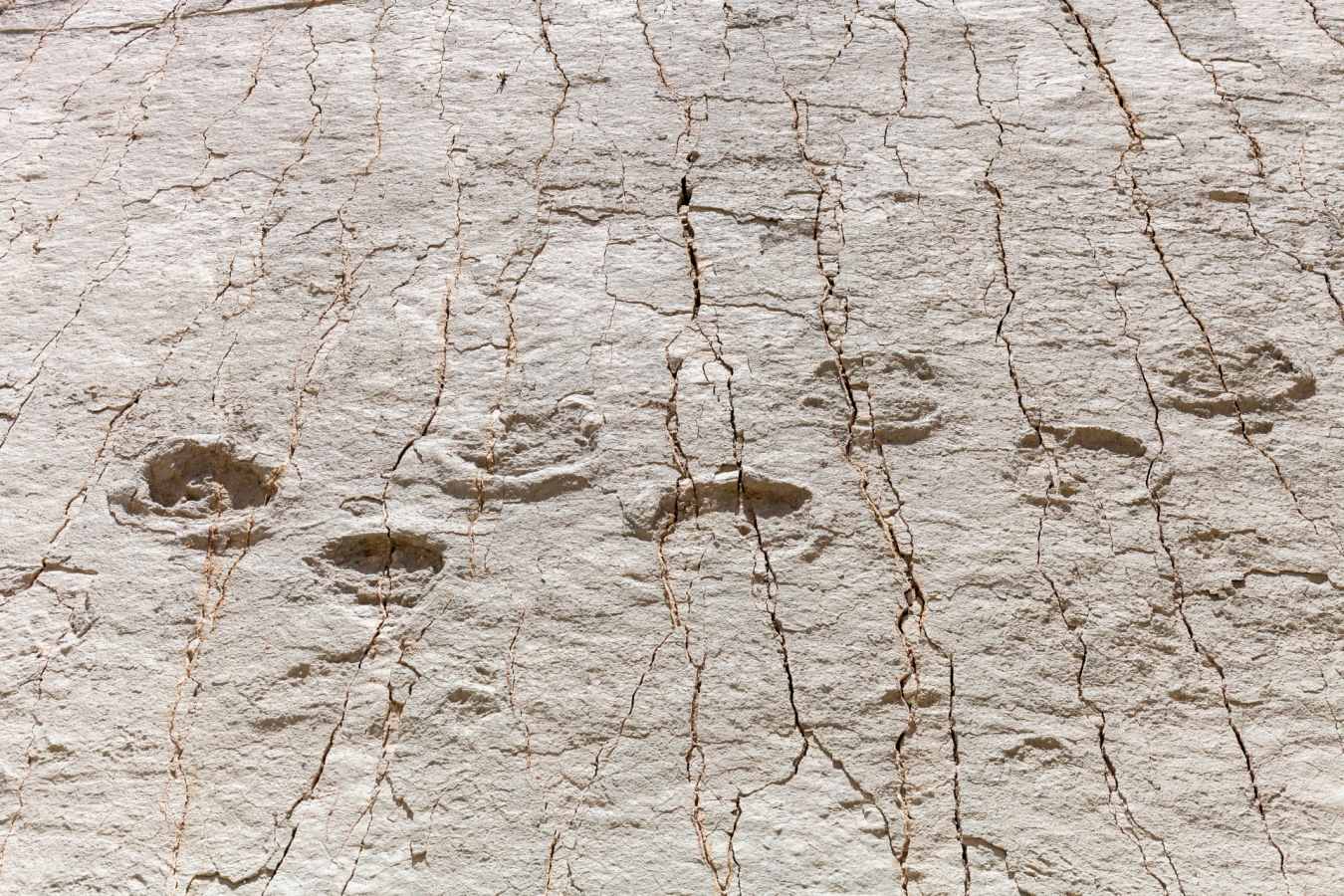 Dinosaur footprints - Bolivia in Depth